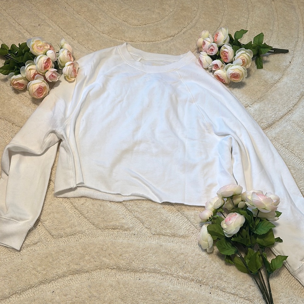 NWT American Eagle Cropped Sweatshirt